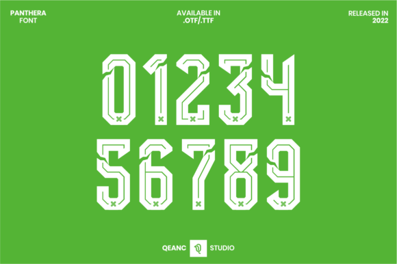 Panthera Font for Sports and Racing Branding