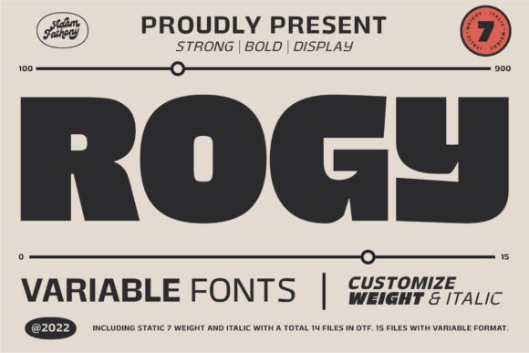 Rogy Display Font for Clear, Confident Campaign Typography