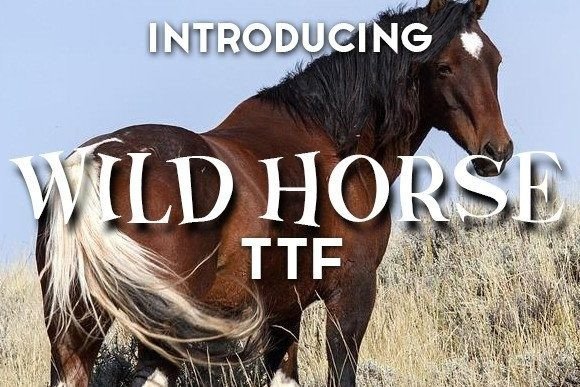 Wild Horse Display Font for Editorial Playfulness